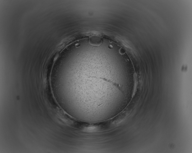 X0000096630312200802121053