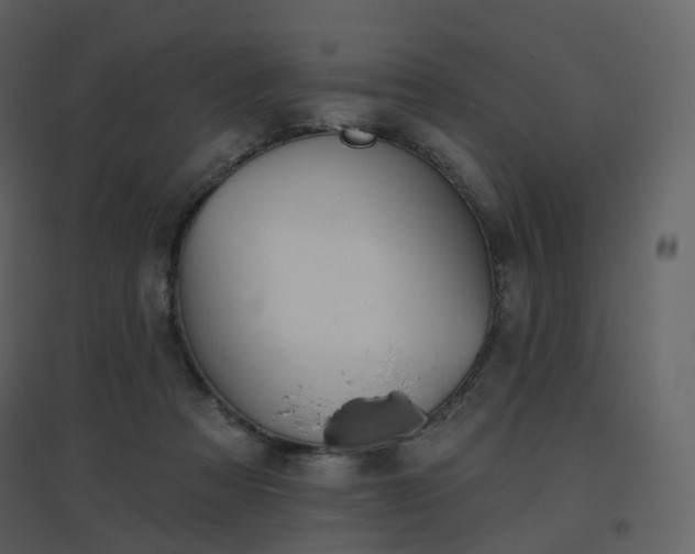 X0000096630313200802121053