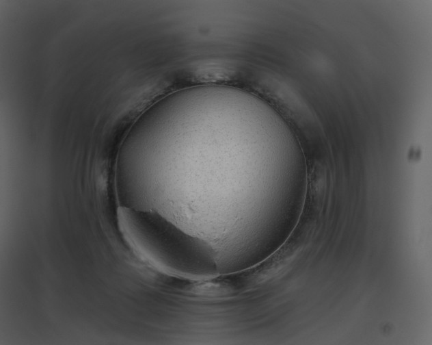 X0000096630315200802121053
