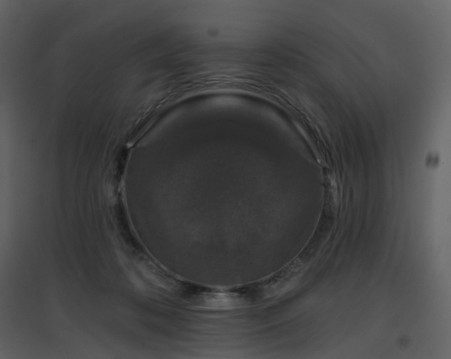 X0000096630316200802121053