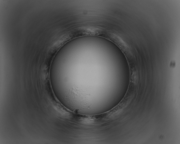 X0000096630318200802121053