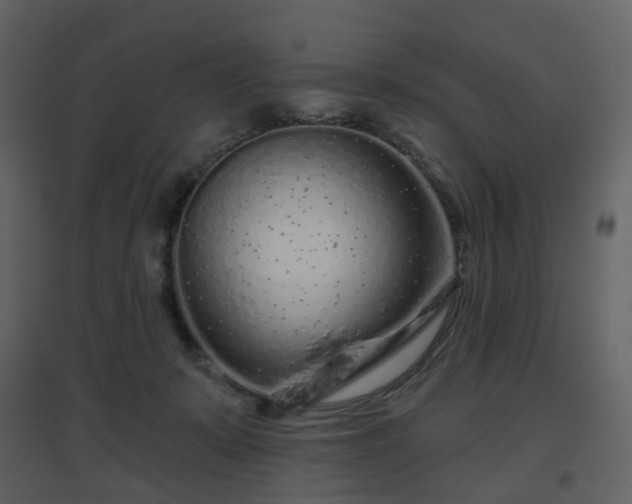 X0000096630319200802121053