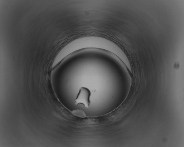 X0000096630320200802121053