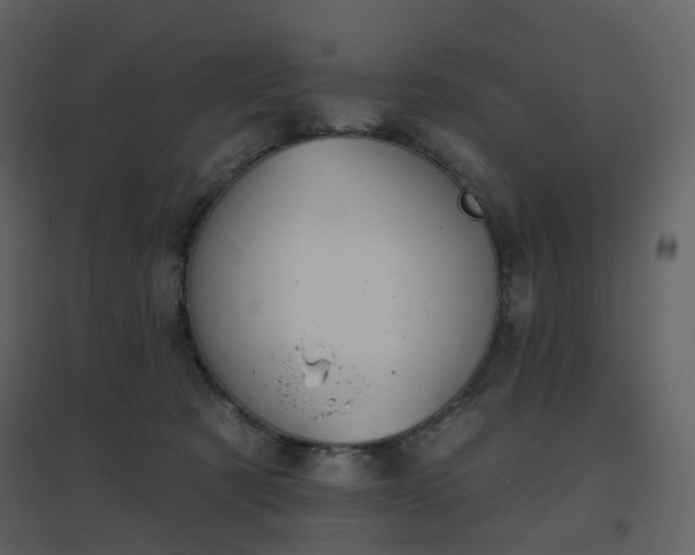 X0000096630321200802121053