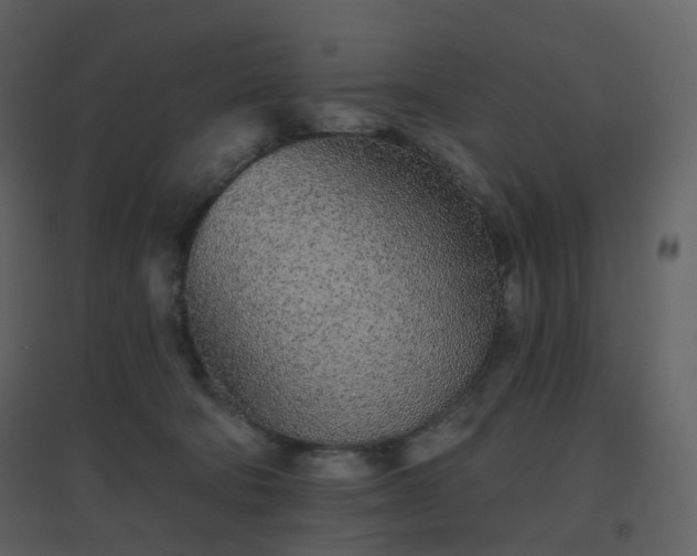 X0000096630322200802121053