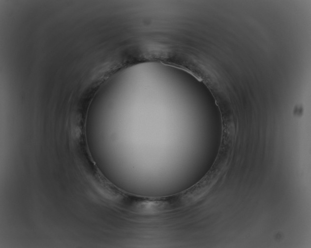 X0000096630323200802121053