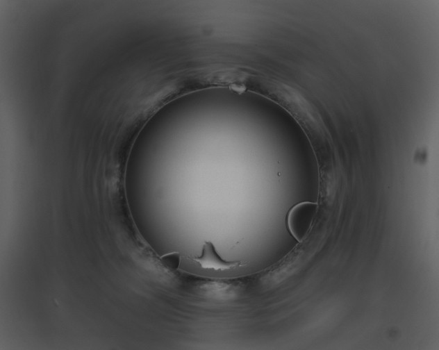 X0000096630326200802121053