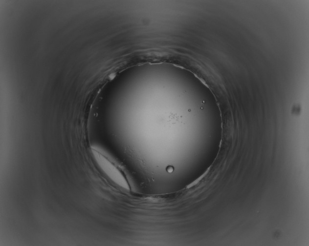 X0000096630328200802121053