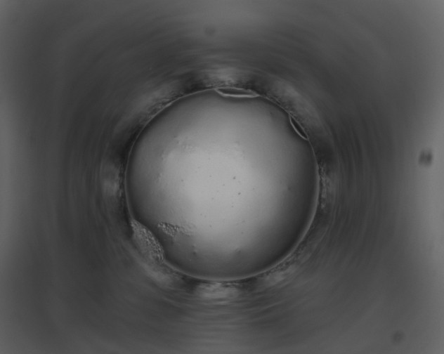 X0000096630331200802121053