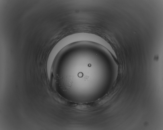 X0000096630332200802121053