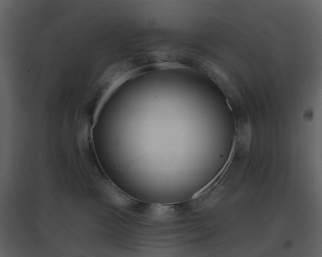 X0000096630333200802121053