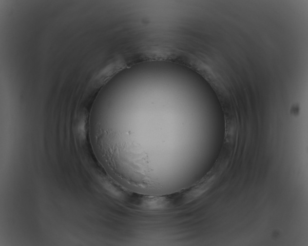 X0000096630334200802121053