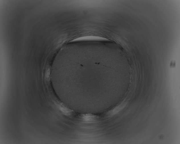 X0000096630336200802121053