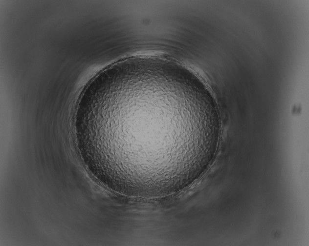 X0000096630337200802121052