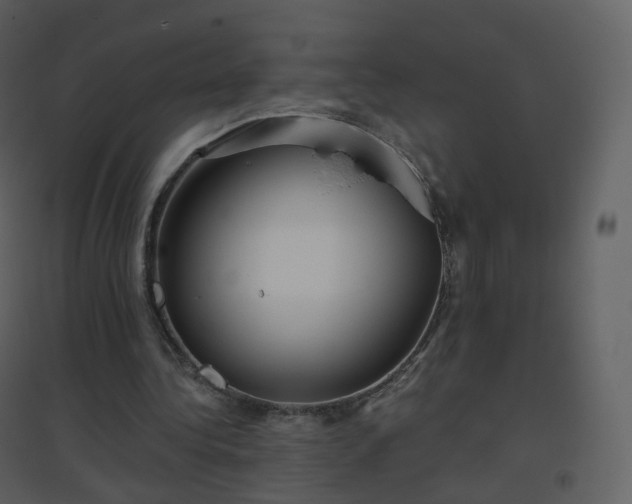 X0000096630340200802121052