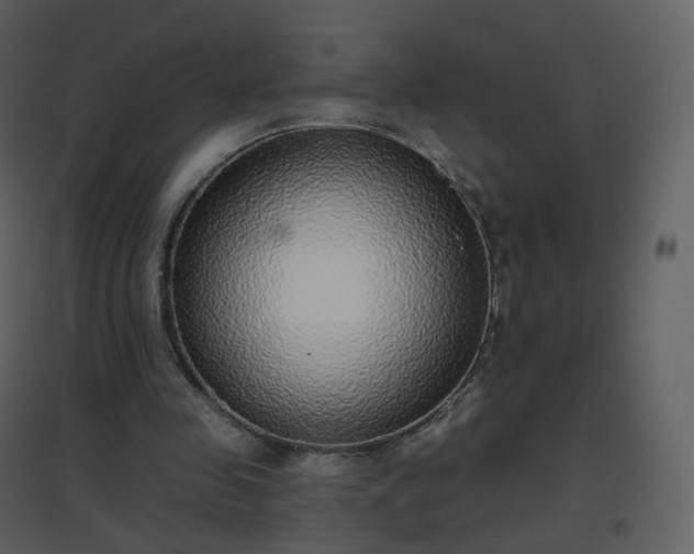 X0000096630341200802121052