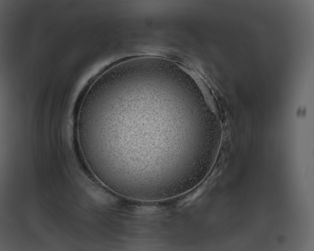 X0000096630342200802121052