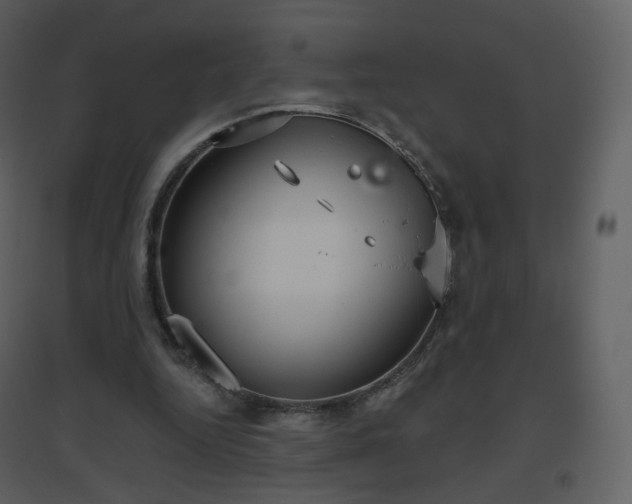 X0000096630344200802121052