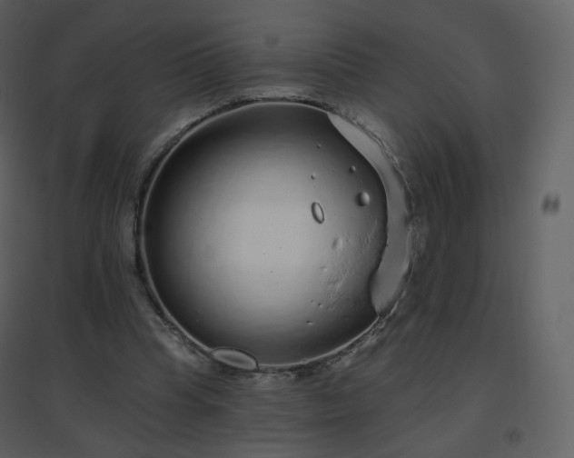 X0000096630345200802121052