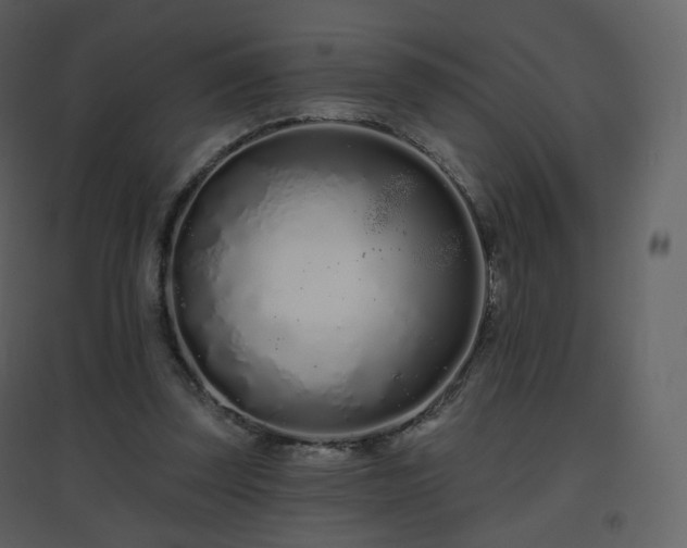 X0000096630347200802121052