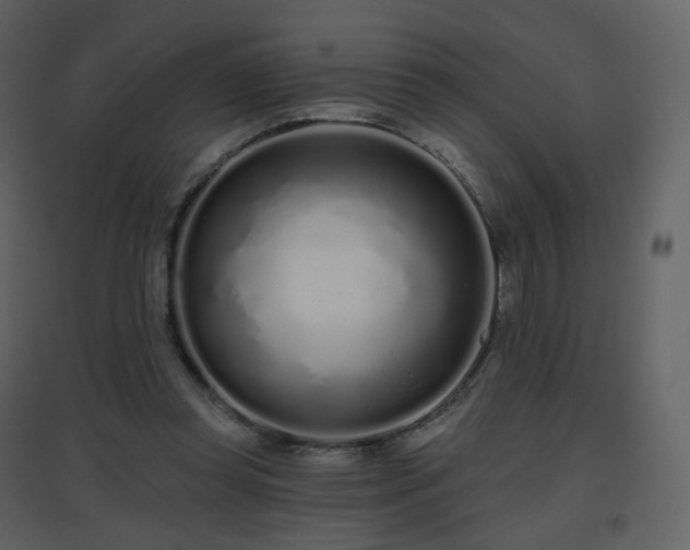 X0000096630349200802121052