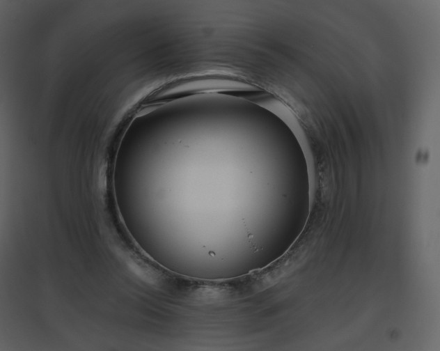 X0000096630350200802121052