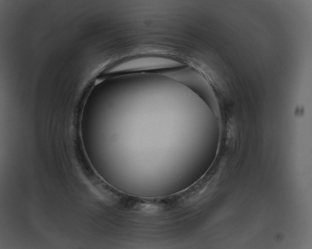 X0000096630352200802121052