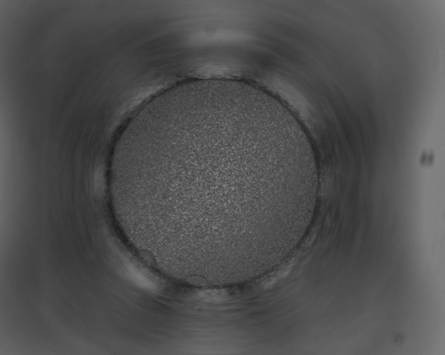 X0000096630353200802121052