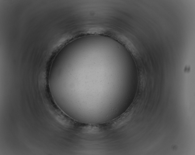 X0000096630354200802121052