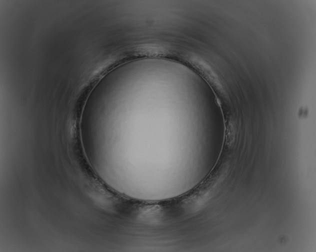 X0000096630355200802121052