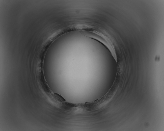X0000096630356200802121052
