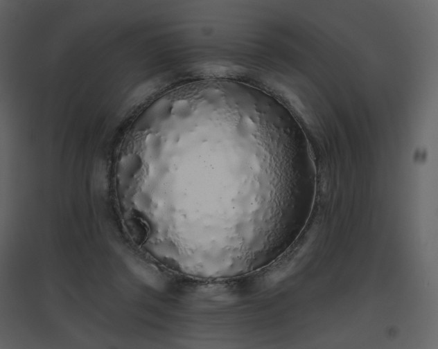X0000096630357200802121052