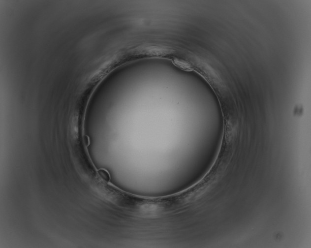 X0000096630358200802121052