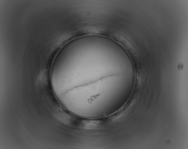X0000096630359200802121052