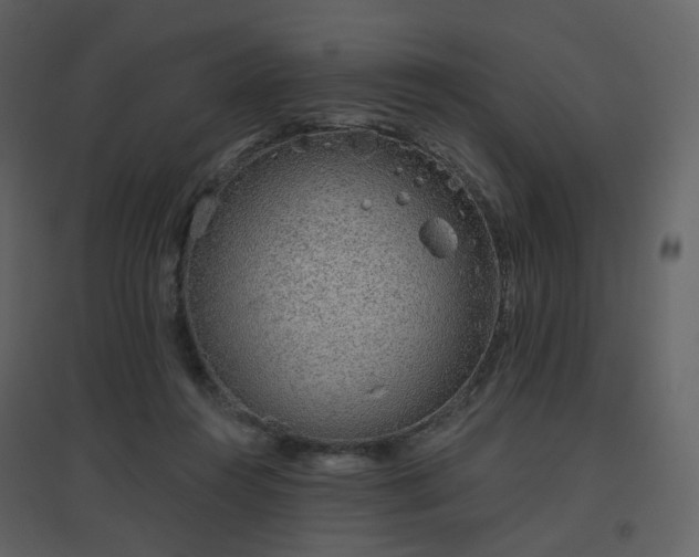 X0000096630360200802121052