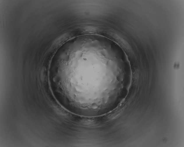 X0000096630361200802121052
