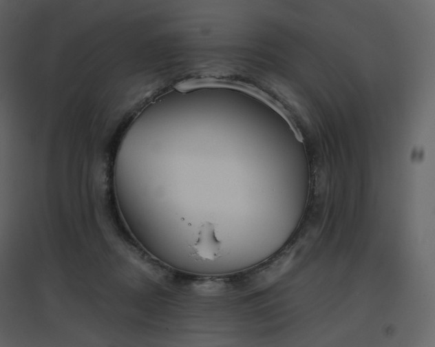 X0000096630362200802121052