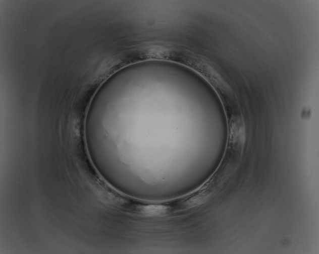 X0000096630363200802121052