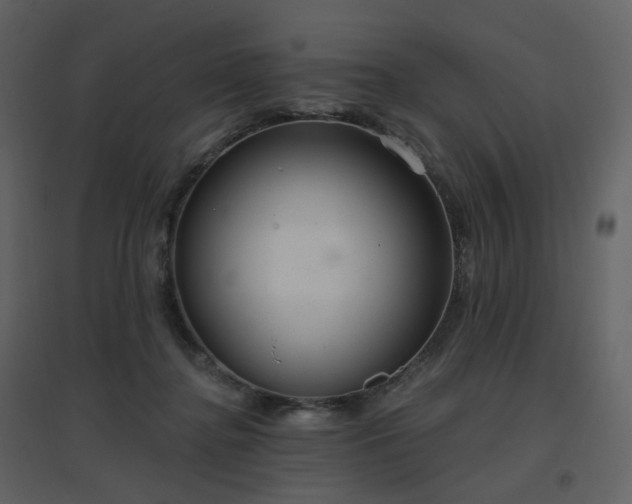 X0000096630364200802121052