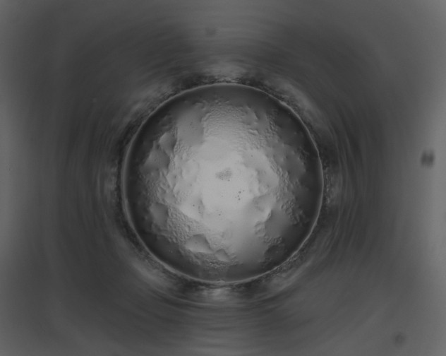 X0000096630365200802121052