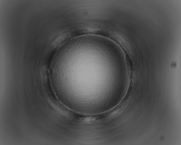 X0000096630366200802121052