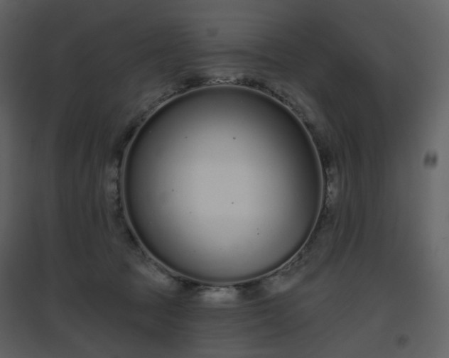 X0000096630369200802121052