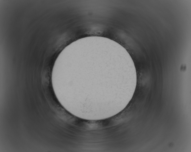 X0000096630370200802121052