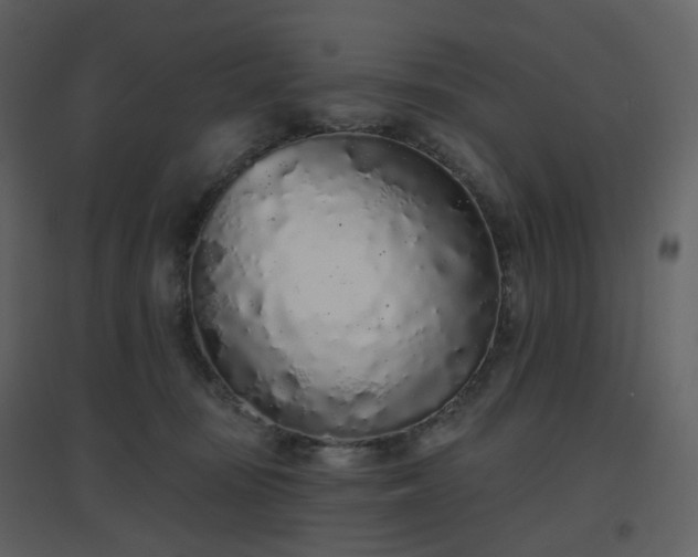 X0000096630371200802121052