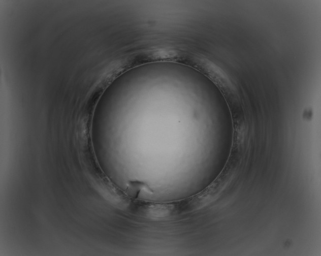 X0000096630373200802121052