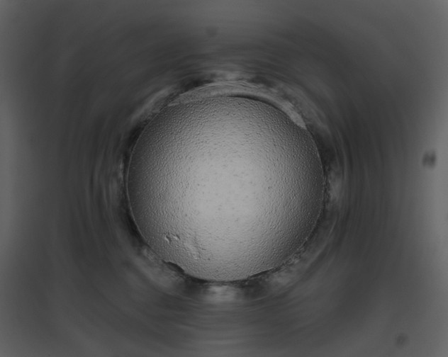 X0000096630376200802121053