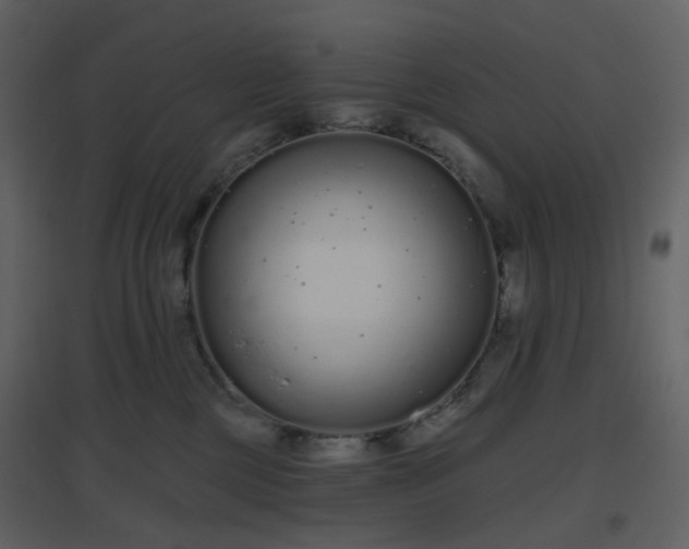 X0000096630377200802121053