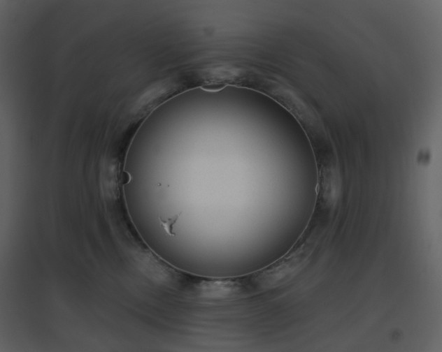 X0000096630378200802121053