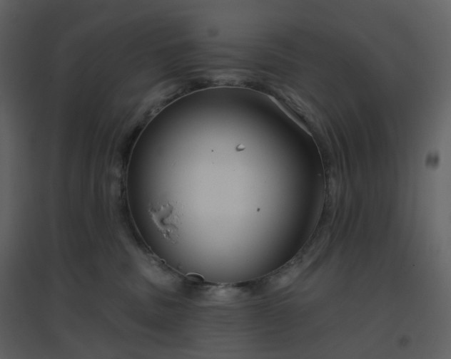 X0000096630379200802121053