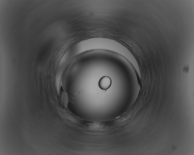 X0000096630380200802121053